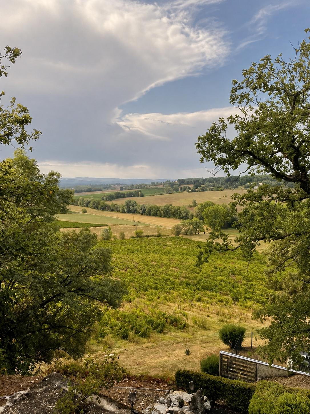Occitania vineyard 5