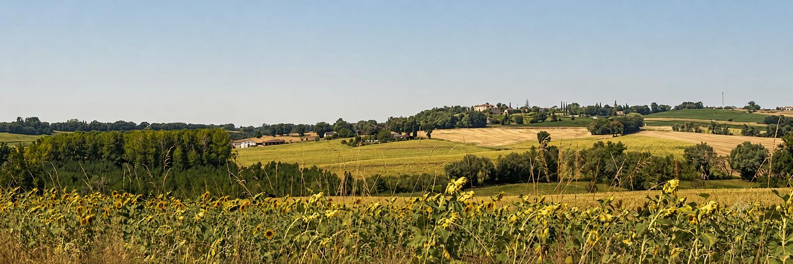 Occitania countryside 6