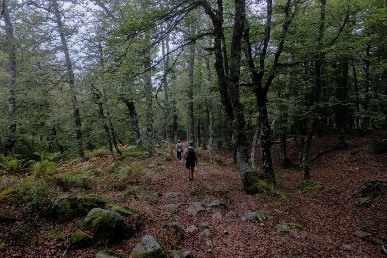 Picos de Europa valley 3
