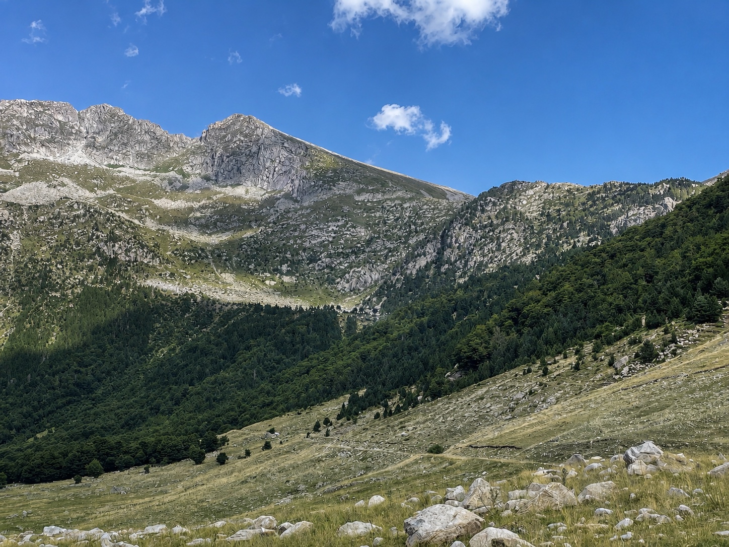 Pyrenees alpine landscape 2